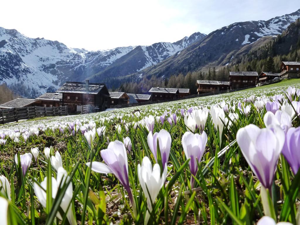 Die Natur Residenz Innervillgraten Zewnętrze zdjęcie