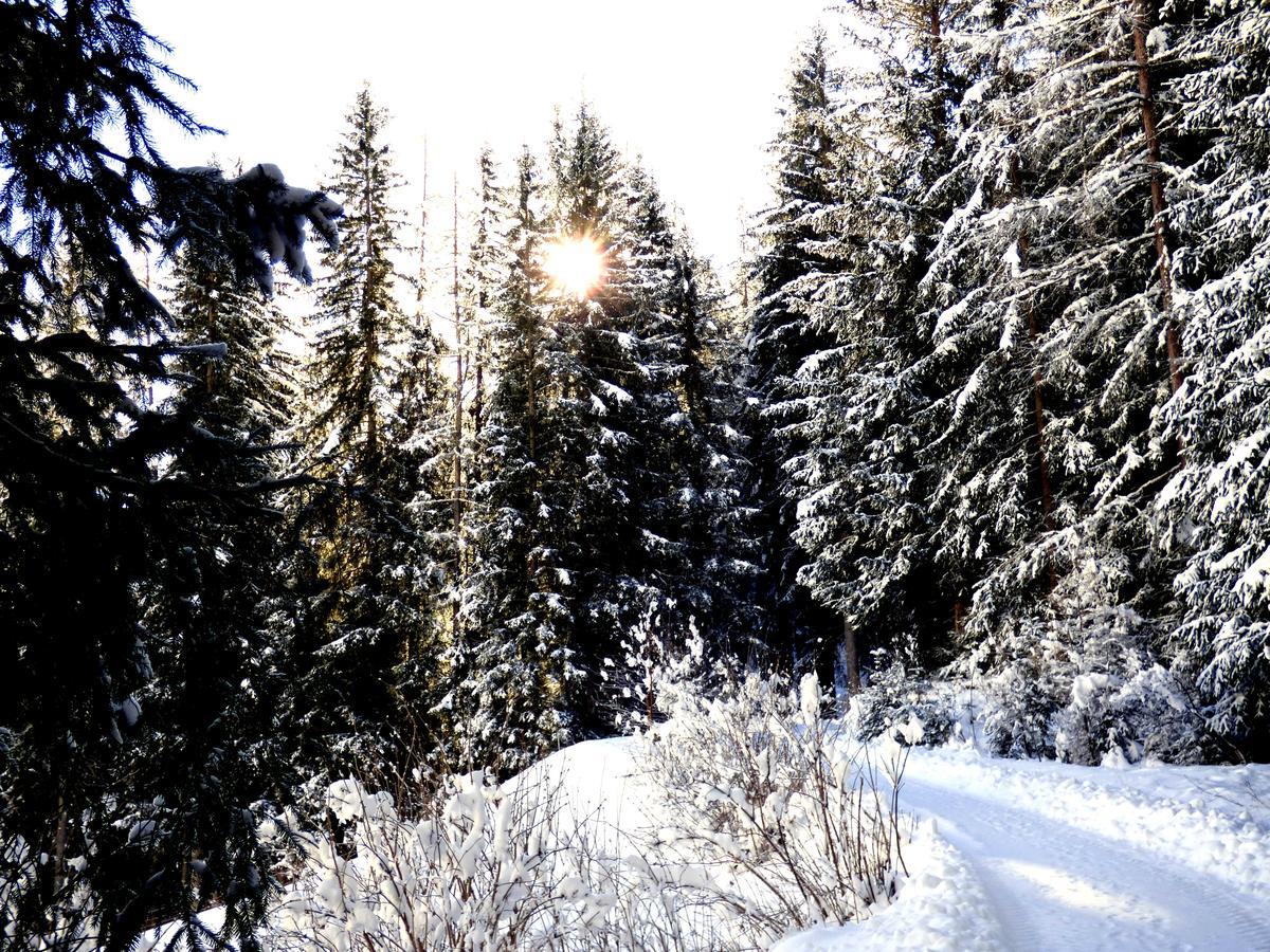 Die Natur Residenz Innervillgraten Zewnętrze zdjęcie